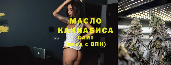гидра Каменка