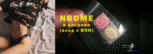 гидра Каменка