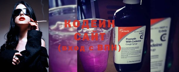 стаф Инта