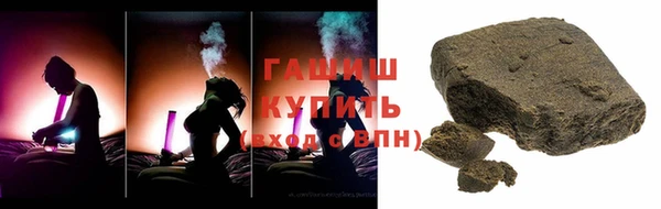 гидра Каменка