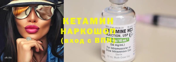 гидра Каменка