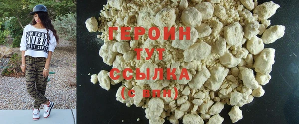 гидра Каменка