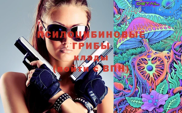 марки nbome Каменногорск