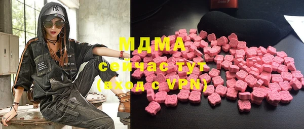 гидра Каменка