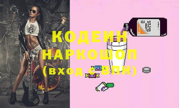 гидра Каменка