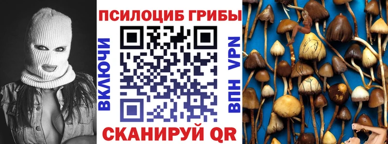 Псилоцибиновые грибы Cubensis Красновишерск